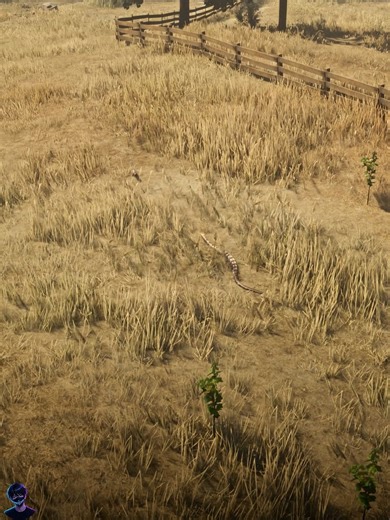 Amazing squirrel escape from a snake in the wild | gameclip.TV