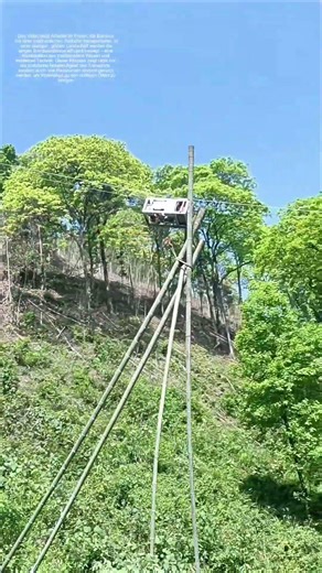 Bamboo-Transport per Seilbahn: Wie Natur und Technik Hand in Hand arbeiten