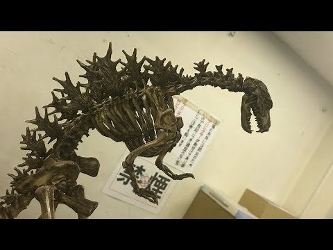 KWF2019 - Godzilla Skeleton Model by Takeya Takayuki 竹谷隆之 - ゴジラ骨格モデル