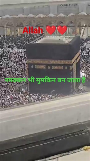 Trust Allah & Watch Miracles Happen 🤍 | Islamic Motivation Short"#Allah#TrustAllah#IslamicMotivation