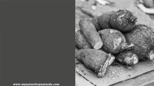 Wild yam, also known as colic root or Dioscorea villosa, is more than just a pretty vine! 🌱 For centuries, it's been used in traditional medicine for a variety of reasons. While more research is always ongoing, some people believe wild yam may help with: * Menopause Symptoms: Some women find it helpful in managing hot flashes and night sweats. * PMS Relief: It might ease menstrual cramps and discomfort. * Anti-inflammatory Properties: Traditionally used to help with joint pain and inflammation.