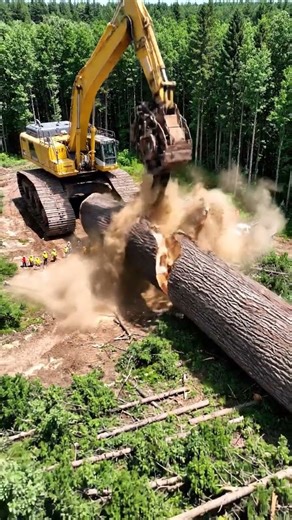 5 AMAZING Things About The WORLD'S LARGEST Forestry Machine