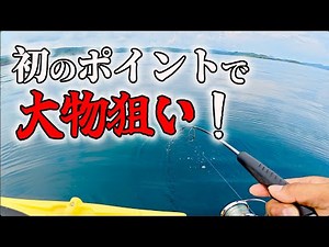 A string of big fish! Aiming for big fish in the ocean at the end of summer!