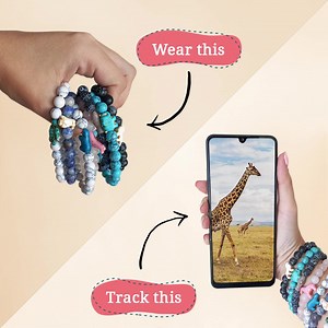 4.2M views · 186 reactions | 漣 Ever wondered where giraffes roam? Now you can track a REAL giraffe with a Fahlo bracelet! 漣  Follow giraffes on their incredible journeys   Help save the environment while exploring the world of giraffes  Track your giraffe from your phone Join the movement of conservation and adventure with a Fahlo bracelet today! 漣 | Fahlo | Facebook