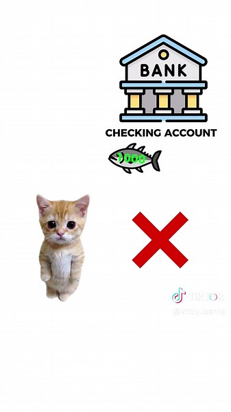 Guía esencial para principiantes en inversiones