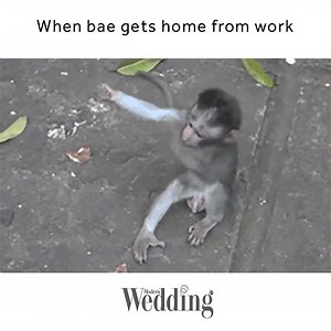 27K views · 402 reactions | Get over here right now and love me! | ModernWedding | Facebook