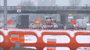 6.1K views · 65 reactions | Here's a sight you don't see often:...