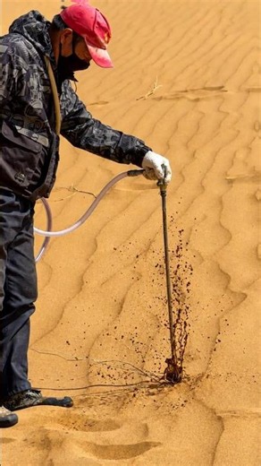 The Secret Technology Behind Desert Plantation! #shorts #trending #viral #desert #engineering