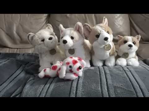 My stuffed animal collection part 2: dog plushies