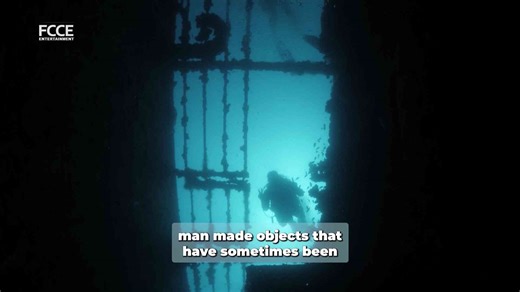 Dive in, why scuba is the ultimate travel adventure