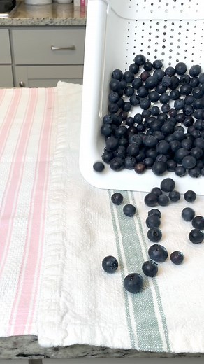 9.5K views · 59 reactions | I’m loving all of the perfectly in season produce right now! 諾𢡄 Everything tastes better in the summer! I love meal prepping my fruit so it’s easy to grab and go to add to meals or eat as a quick snack! | Planted in the Kitchen | Facebook