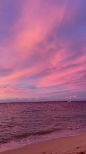 4.5K views · 279 reactions | Aloha from Oʻahu — the heart of Hawaiʻi ️ Experience Oahu: https://bit.ly/experience-oahu Follow Aloha Stoked Follow Hawaiian Islands Follow Experience Hawaii Media @oceanchildlife #Oahu #OahuHawaii #VisitOahu #ExploreOahu #OahuVibes #OahuLife #OahuAdventures | Aloha Stoked | Facebook