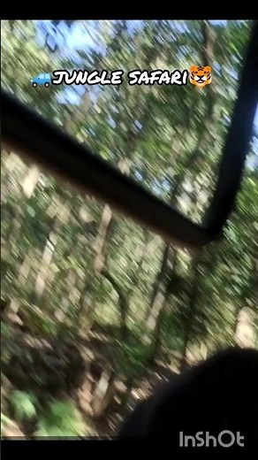 ❤️ye duniya ye mahafil -70s old song- purane_gane #jungle #safari #bolleywoodsong #ytshorts #sad