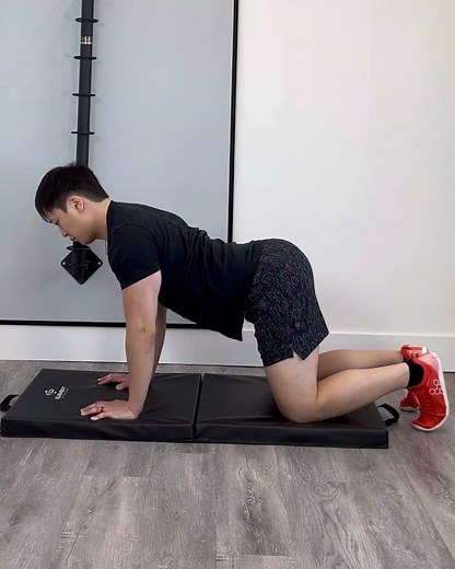Quadruped Scapular Circles - scapular mobility exercise