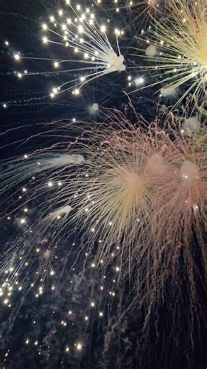 Blinker & Rauchenbomben #fireworks #firework #feuerwerk #pyro