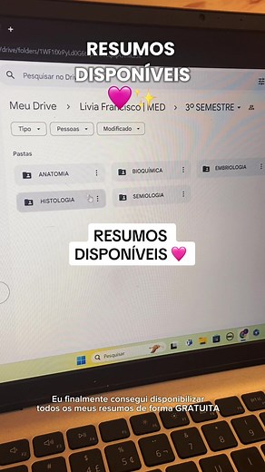 Drive de Resumos Disponível Gratuitamente! 🩷