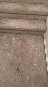 Fumble #fyp #foryou #blooper #fall #closeyourrings #funny #funnyvideos #enjoy #reelsviralfb #trendingreels #funnyreels #reelsviralvideo #trendingvideos . . . . . . . . #fyp #fun #reelviral #love #reels #fbviral #reelsviral #shoesoftheday #fbreels #reelsfb | One More Try