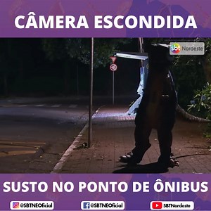 Câmera escondida: susto no ponto de ônibus. É um atrás do outro! #SBTNordeste #ls | SBT Nordeste