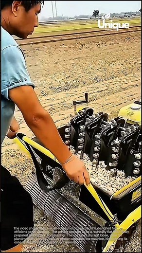 Automated garlic planter: boosting efficiency in garlic farming