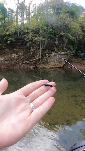 Trout Fishing Tips with Black Creek Bug Lures