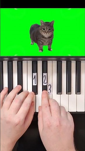 OIIAO Spinning Cat Piano Tutorial #shorts