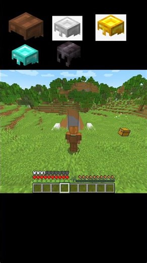 Fall Damage Test 🪂 | Which Armour Saves You?! 🛡️ #minecraft