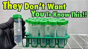 10K views · 76 reactions | The Secret to Preserving Mushroom Cultures...