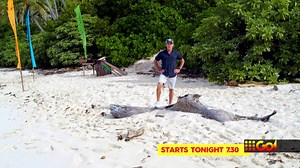 Brand new #Survivor starts tonight 7.30pm on 9Go! and 9Now!  #9Survivor #SurvivorAU | 9Go! | Facebook