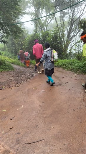 CARDAMOM 🍃Preparation and Drying Cycle Harvesting: Green cardamom capsules are harvested during their peak season, typically October-November, and picked every 15-25 days to maintain quality. Pre-treatment (Optional): Soaking freshly harvested green cardamom capsules in a 2% washing soda solution for 10 minutes before drying can help retain their green color. Loading: The capsules are spread thinly in a single layer on trays within the drying chamber. Initial Heating: The chamber is heated to 4