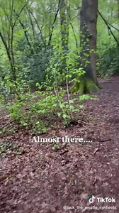 Just lost a year of life… #stress #dog #westie #jackthewestieinwheels #couldntcareless #unstoppable #ohmygoodness #rescuedog