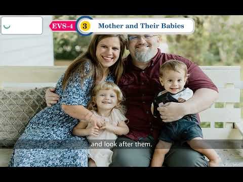 Ch 3 | Oliver | Evs | Class 4 | Semester 1 | For Children