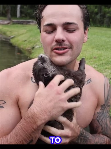 #cuteanimals #loveanimals #animals #fouryoupage #viral #fyp | animals