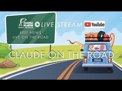 Fauna Marine Reef News Live Cologne Zoo Nuremberg