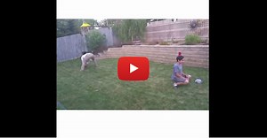 CFL long snapper is insanely accurate, knocks can off kid's head