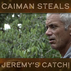 882K views · 10K reactions | After days of trying, Jeremy has a Wolf Fish on the end of his line but it's stolen by a hungry caiman! #RiverMonsters #JeremyWade #WolfFish | River Monsters Global | Facebook