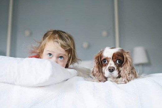 Guide to Filing Taxes as Head of Household