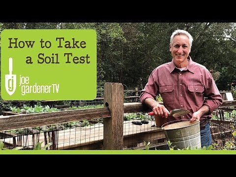 How to Take a Soil Test