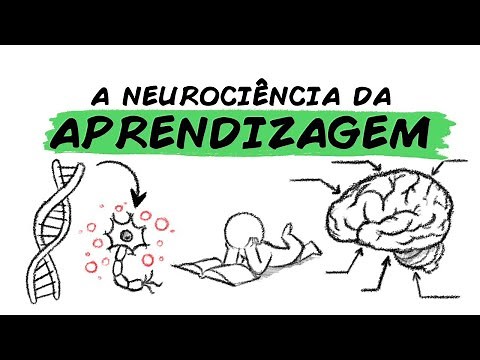 The Neuroscience of Learning