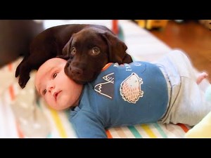 BABY MEETS PUPPY FOR THE FIRST TIME.
