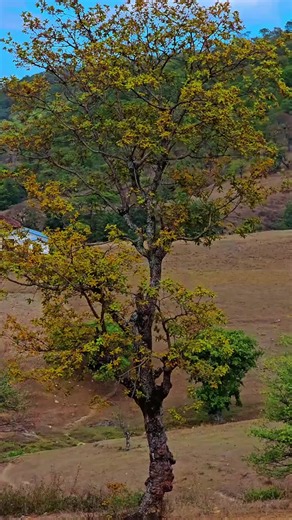Paisajes hermosos: videos y clips para relajarte