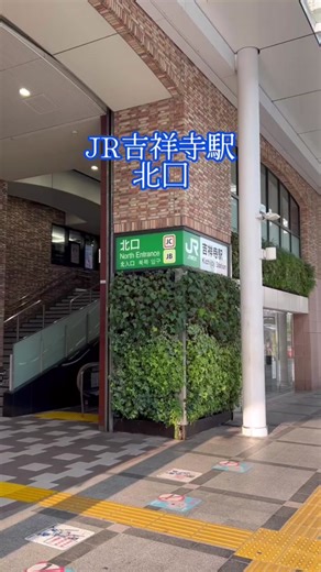 🌙推し活No,1カフェ 『Cafe Eve』 ご予約はお電話または食べログネット予約にてお願い致します。 📍〒180-0004 東京都武蔵野市吉祥寺本町1-22-10 寿々木ビル2階 ☎️0422-27-1582 📩info@cafeeve.com ⏰11:30〜21:00 (最終入店20:00/L.O.20:30) 定休日なし(年末年始休み) JR吉祥寺駅北口より徒歩3分 京王井の頭線 吉祥寺駅より徒歩3分 #吉祥寺カフェ #CafeEve #吉祥寺 #青色カフェ #afternoontea #オタ活カフェ #kichijoji #推し活#オタ活 #カフェ巡り #cafe #吉祥寺 #推し活プレート#推し活カフェ