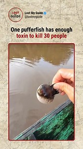 474K views · 4.2K reactions | if you don’t follow @lostmyguide you’re...