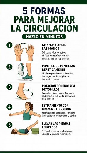 5 Ejercicios para Mejorar la Circulación Sanguínea en Casa 🩸 Activa tu Flujo