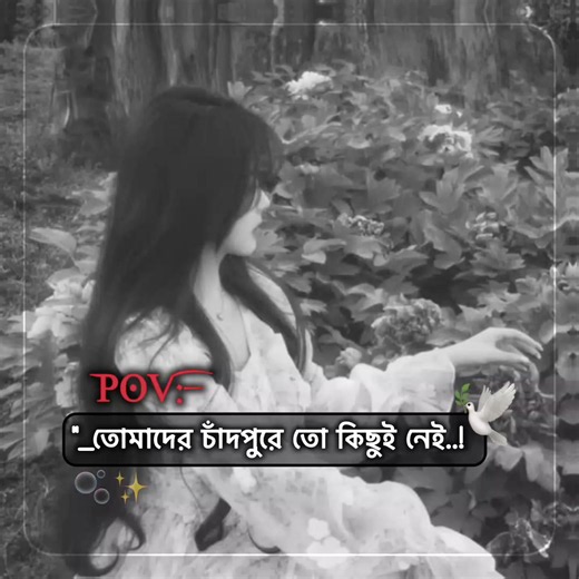 post 2... 💜 Chandpur ar manus mane mstir manus.... #chandpur #Chandpurmycity #inshot #foryou