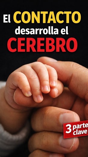 PAÑALERA ECONÓMICA on Instagram: "3 partes del cuerpo del bebé que estimulan su desarrollo cerebral 📝 El desarrollo cerebral de un bebé comienza desde los primeros días de vida y se fortalece a través de algo esencial: el contacto amoroso y la interacción diaria. En este video te compartimos 3 partes del cuerpo del bebé cuya estimulación consciente y respetuosa favorece el desarrollo de sus conexiones neuronales, su percepción sensorial y sus primeras habilidades cognitivas. No se trata de fórm