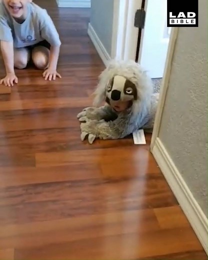 'This arrived today and it's the best $30 I have ever spent in my life' 😂😂 | LADbible