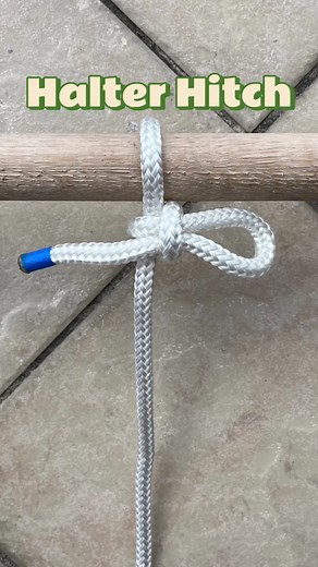Learn How to tie Halter Hitch. #knot #knots #hitch #technique #tricks #diy #shorts #reelsviral | Nots