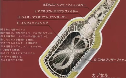 官方解释的奥特战士繁衍后代原理