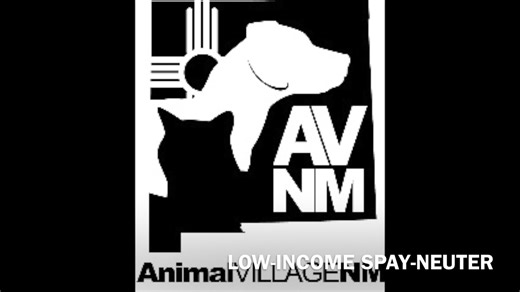 Check out our newest, MOST ARTISTIC Fundraiser Ever! Learn to make stained glass art, beautify your home, make one-of-a-kind gifts for friends and family...AND HELP LOCAL ANIMALS IN NEED with low-cost spay and neuter. Win-Win-Win, right? Watch the video for the deets! #stainedglass #ruidoso #ruidosonewmexico #stainedglassart #stainedglassartist | Animal Village N.M.