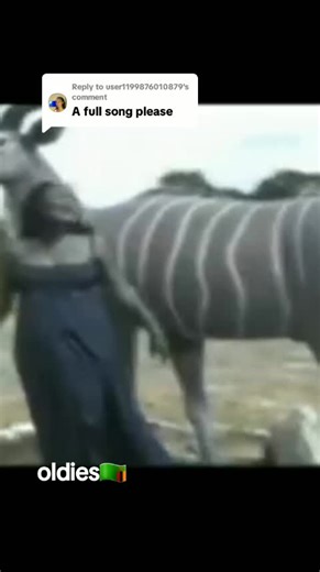 Nostalgic Oldies Songs from Zambia: 70s to 90s Classics